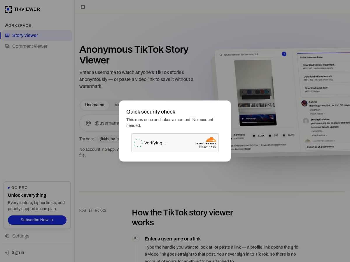 Screenshot of TikViewer